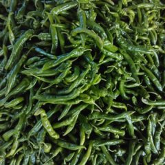 山东费县供应各种辣椒；保质保量