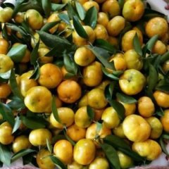 2021全州柑橘走过路过不要错过