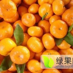 江西南丰南丰蜜桔柑橘产销两旺