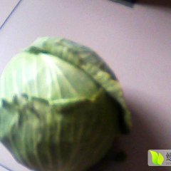 昆都仑甘蓝假一赔十和平杨宏大诚信合作