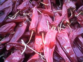 山西省忻州市辣椒供应合作社