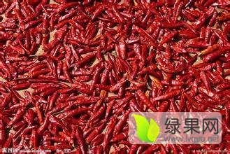 金乡辣椒名优产品,润腾赵东方诚信合作