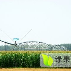 2015察右中旗土豆现在订货有惊喜