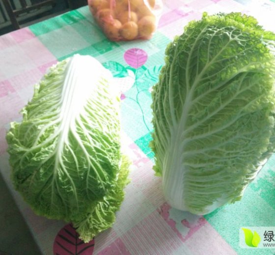 2015年河北滦县北京新三号价格