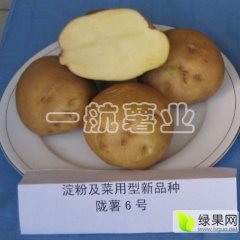 2015安定土豆抓住商机无限
