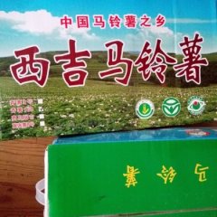 2016西吉土豆今年价格有看点