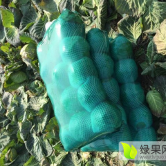 嘉鱼甘蓝产地 品种有扁包，圆包等