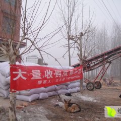 扶沟辣椒品质优良,白潭王东峰诚信合作