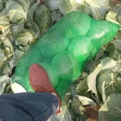 2015嘉鱼潘家湾镇包菜上市了