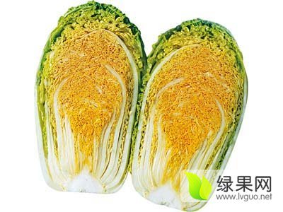 2015年河南扶沟娃娃菜价格