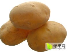 陇西农产艾经理10月青薯168土豆