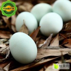 2015天台乌药绿壳鸡蛋
