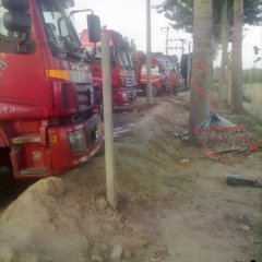 河北省清苑县清凉城村、甘蓝系列、希望、铁头