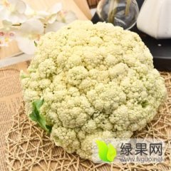 铜山菜花品质优良,黄集杜长成诚信合作