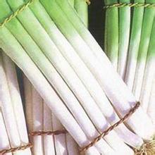 平度大葱价格适宜信合作