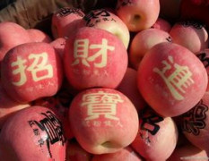 山东潍坊寒亭红富士苹果上市