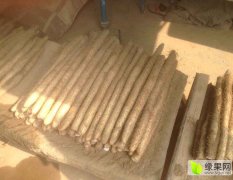 饶阳山药价格行情平稳大官厅乡王岗赵艳超诚信