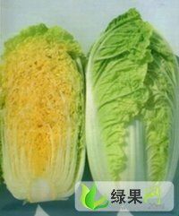 2015年河北定州青杂三号价格