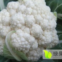 山东东昌府雪玉菜花产销两旺