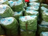 2015年山东莘县四季豆价格