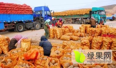 【紫花白品种】山西神池新明诚信合作社