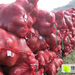 兰陵洋葱质量上乘,神山胡文勇诚信合作