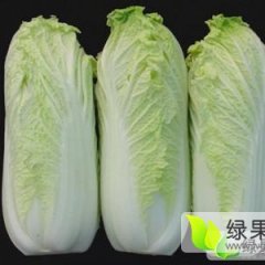 河北固安娃娃菜小白菜价格行情平稳