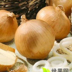 内蒙古喀喇沁旗黄皮洋葱 名扬天下