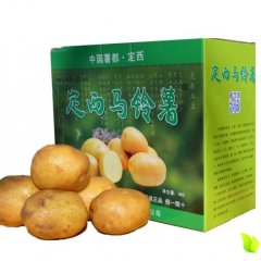 安定国家武女士7月大西洋土豆