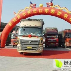 广西柳城供应南丰蜜橘