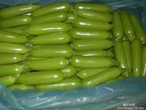 聊城阳谷蔬菜市场大量供应优质西葫芦