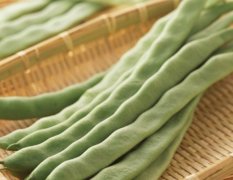 聊城阳谷蔬菜市场新一季四季豆、扁豆、黄瓜大