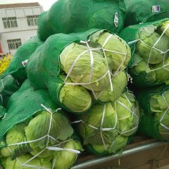 嘉鱼牌州殷芳雷11月球茎甘蓝