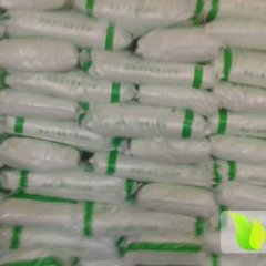 本人存有大量优质马铃署、荷兰七