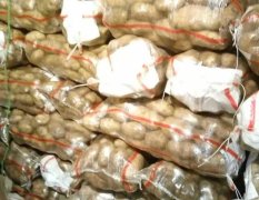 冷库货源 0.65-0.75 各种型号 随时看货