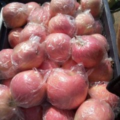 临猗苹果价格适宜,北辛樊文龙诚信合作