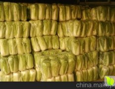 北京新三号白菜大量上市价格便宜有需要的联系