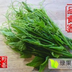 寻甸洋丝瓜尖 又名佛手瓜尖