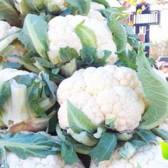 武清菜花聚焦市场,天津甄祖山诚信合作