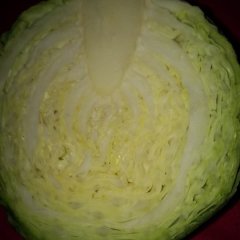 君山广兴绿圆甘蓝价格适宜