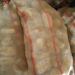 单县徐寨王先生11月荷兰十五土豆