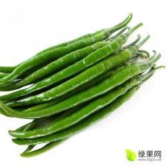 田阳广西陆桂11月线椒辣椒