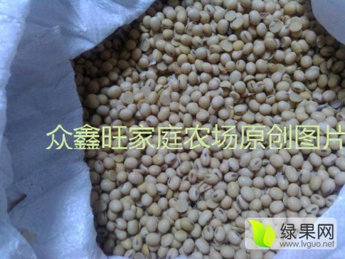 2015年山东兰陵非转基因大豆价格