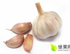 广东澄海收购次品大蒜，大蒜米用来腌制