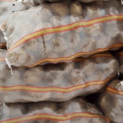 2015围场土豆价格波动不大