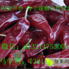 2015开鲁辣椒抓住商机无限