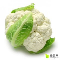2015宁阳菜花收购工作全面开展