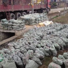 黑皮甘蔗苗，，甘蔗种子价格 ，黑皮甘蔗苗价格