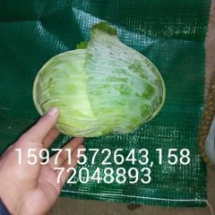 嘉鱼甘蓝香甜可口,牌州殷先生诚信合作