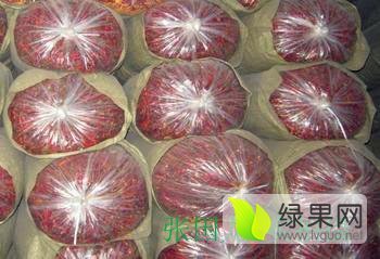 2015曹县厂家供应天宇辣椒